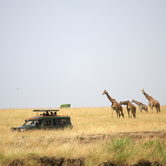 Maasai Mara luxury safari
